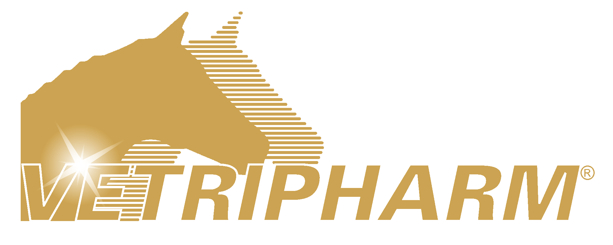 VETRIPHARM/EQUIPUR